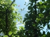 photo01